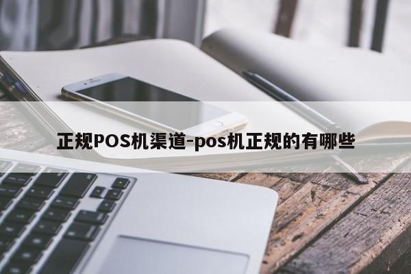 双湖正规POS机渠道-pos机正规的有哪些